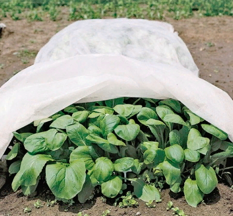 Товары для сада и огорода Товары для сада и огорода